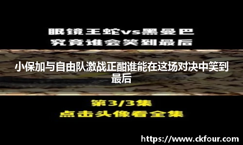 小保加与自由队激战正酣谁能在这场对决中笑到最后
